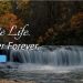 Hendersonville Memory Gardens, Funeral Home, & Cremation Center